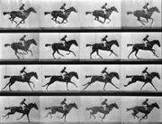 cinema clip image002