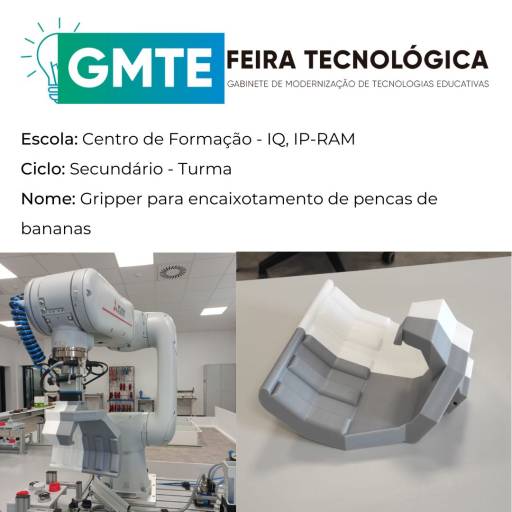 Gripper para Encaixotamento de Pencas de Bananas