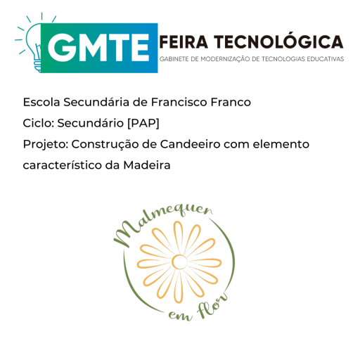 Malmequer em flor